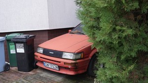 Ratujemy Hachi - pierwszy pomysł