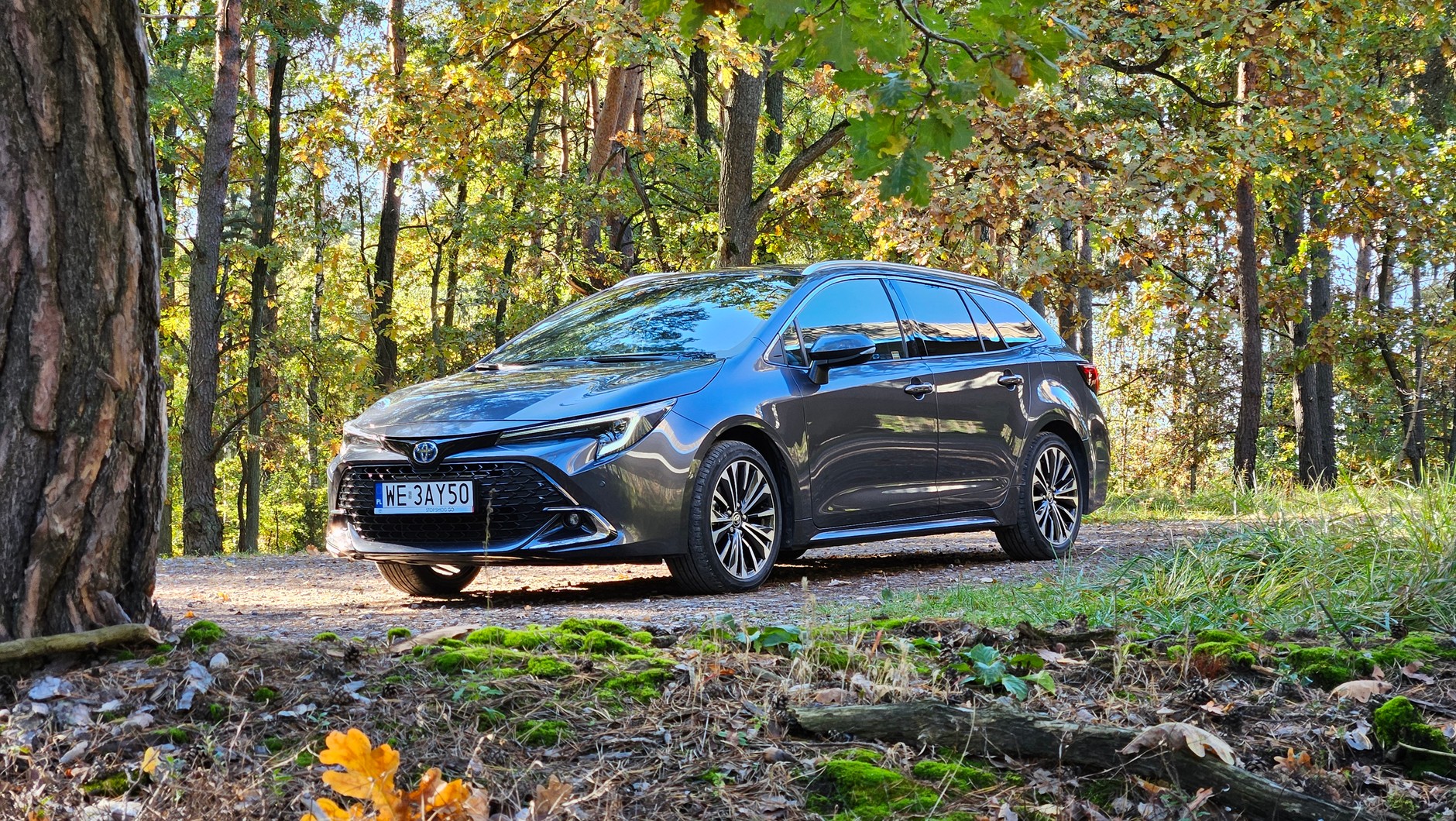 W ogólnej sprzedaży (firmy i klienci indywidualni) prym wiedzie Toyota Corolla (3922 szt.)