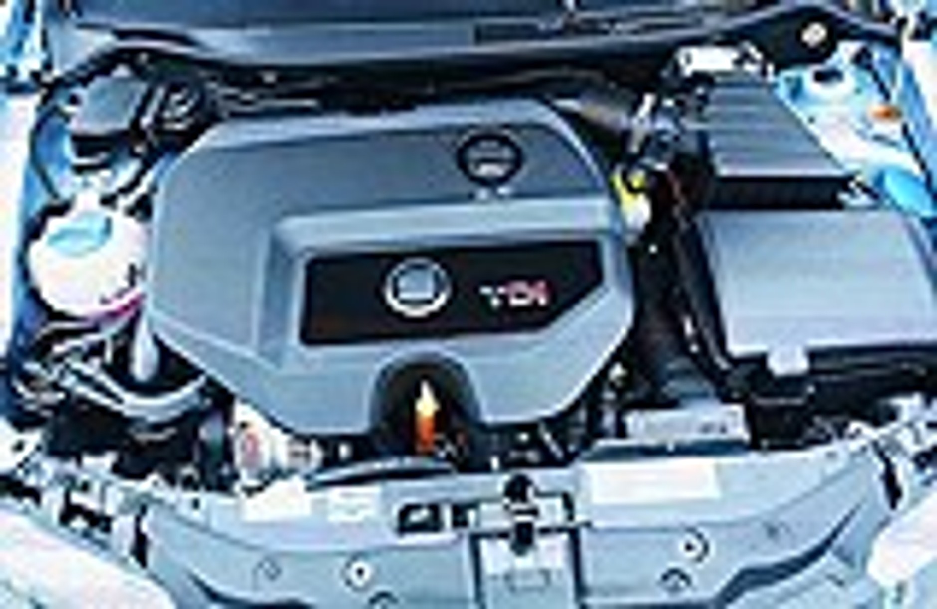 Nie drażnijcie byka