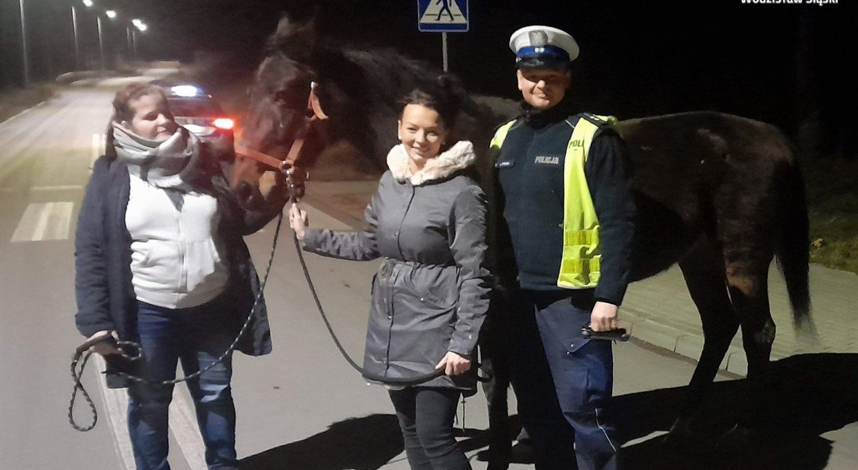 Policjanci szukali nietypowego uciekiniera. "Poznawał nową okolicę"