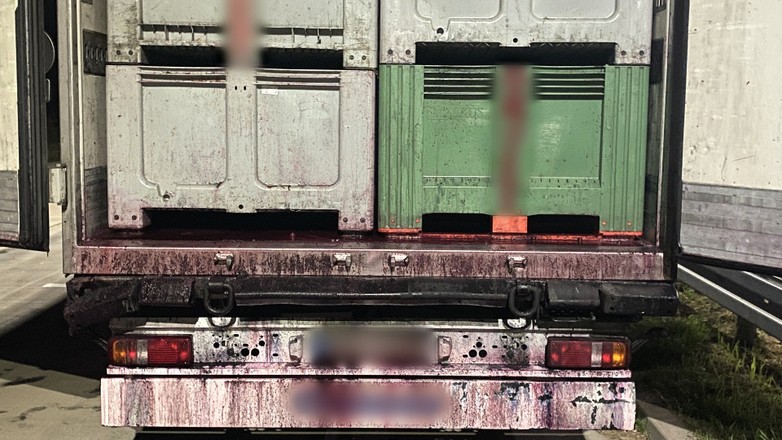 Prawie 50 ton zamiast dopuszczalnych 40 t ważył zestaw ciężarowy z ładunkiem wiśni przewożonych w skrzyniopaletach.