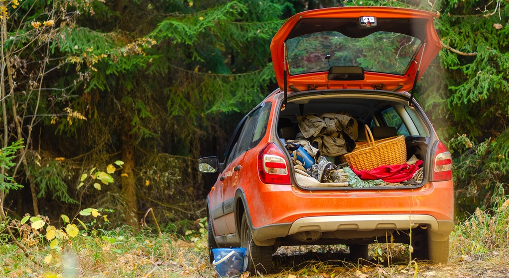 Parkowanie w lesie to fatalny pomysł. Nie chodzi tylko o ryzyko mandatu