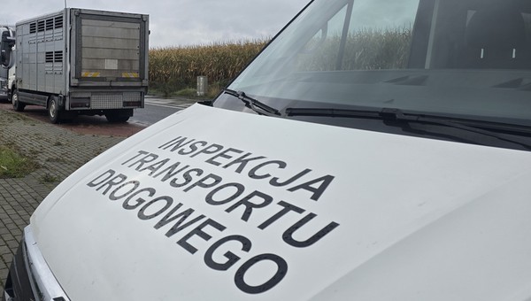 Inspektorzy ITD znowu zatrzymali tę samą ciężarówkę. Musieli aż zawiadomić prokuraturę