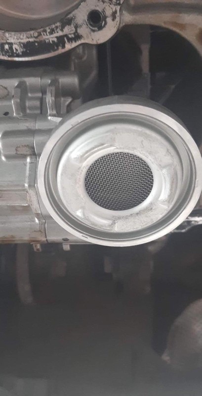 Tak powinien wyglądać smok pompy oleju silnika 1.2 PureTech.
