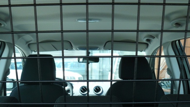 Auta z kratką jednak znikną od stycznia 2011 r.