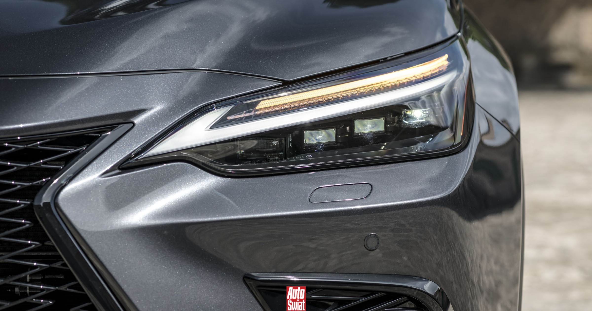 Polacy kupili więcej nowych aut tej marki premium niż Niemcy i Francuzi razem wzięci