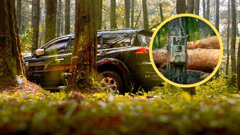 Leśnicy montują fotopułapki na drzewach, a później wystawiają mandaty kierowcom. Zdjęcie ilustracyjne