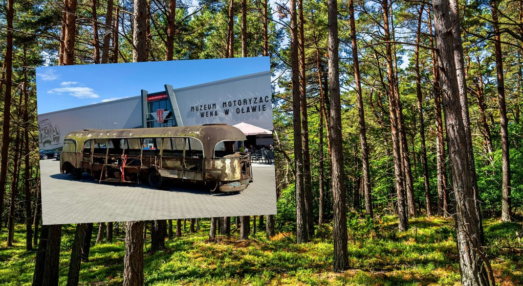 Polski autobus Bałtyk odnaleziony w lesie
