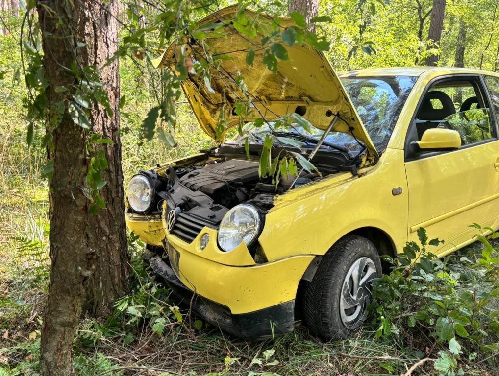 Kierował Lupo i uderzył w drzewo. Przekroczył, ale nie prędkość
