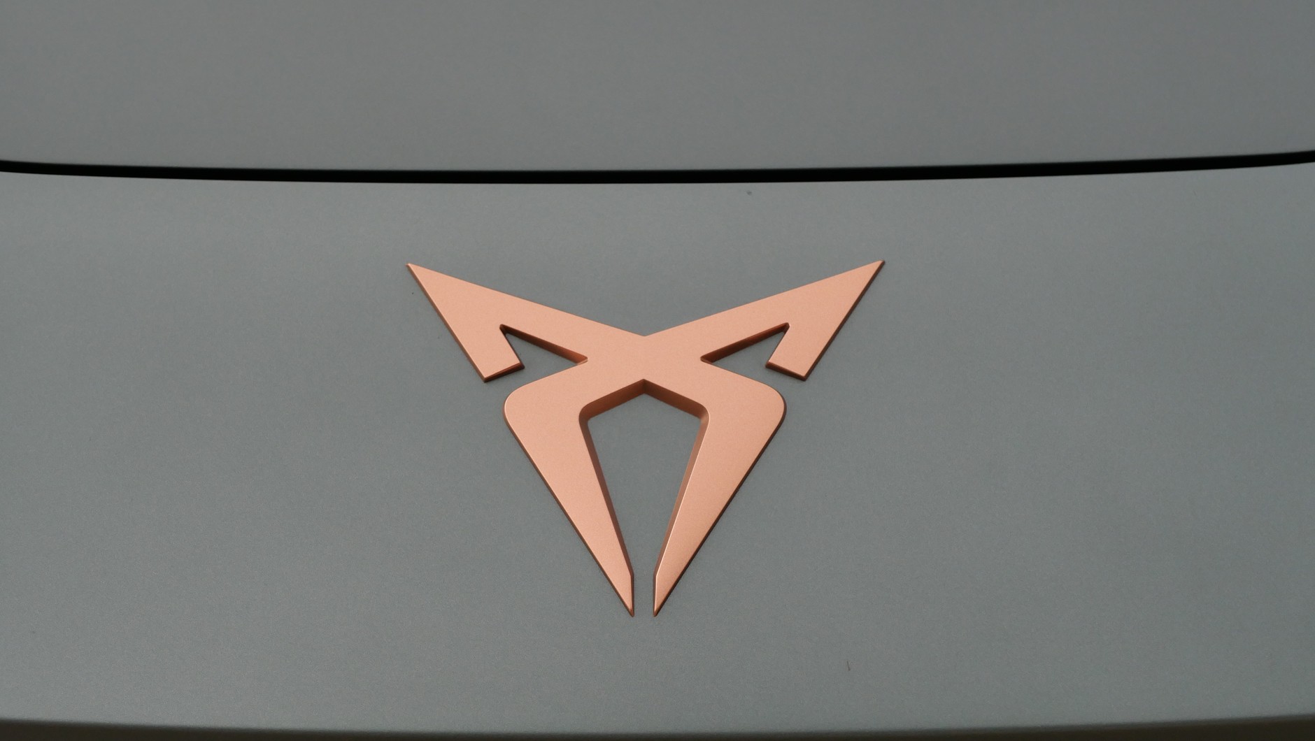 Cupra Terramar w wersji limitowanej America's Cup