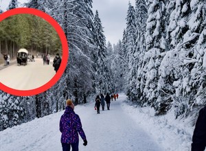 Elektryki zastąpią konie na trasie do Morskiego Oka. W końcu mamy porozumienie