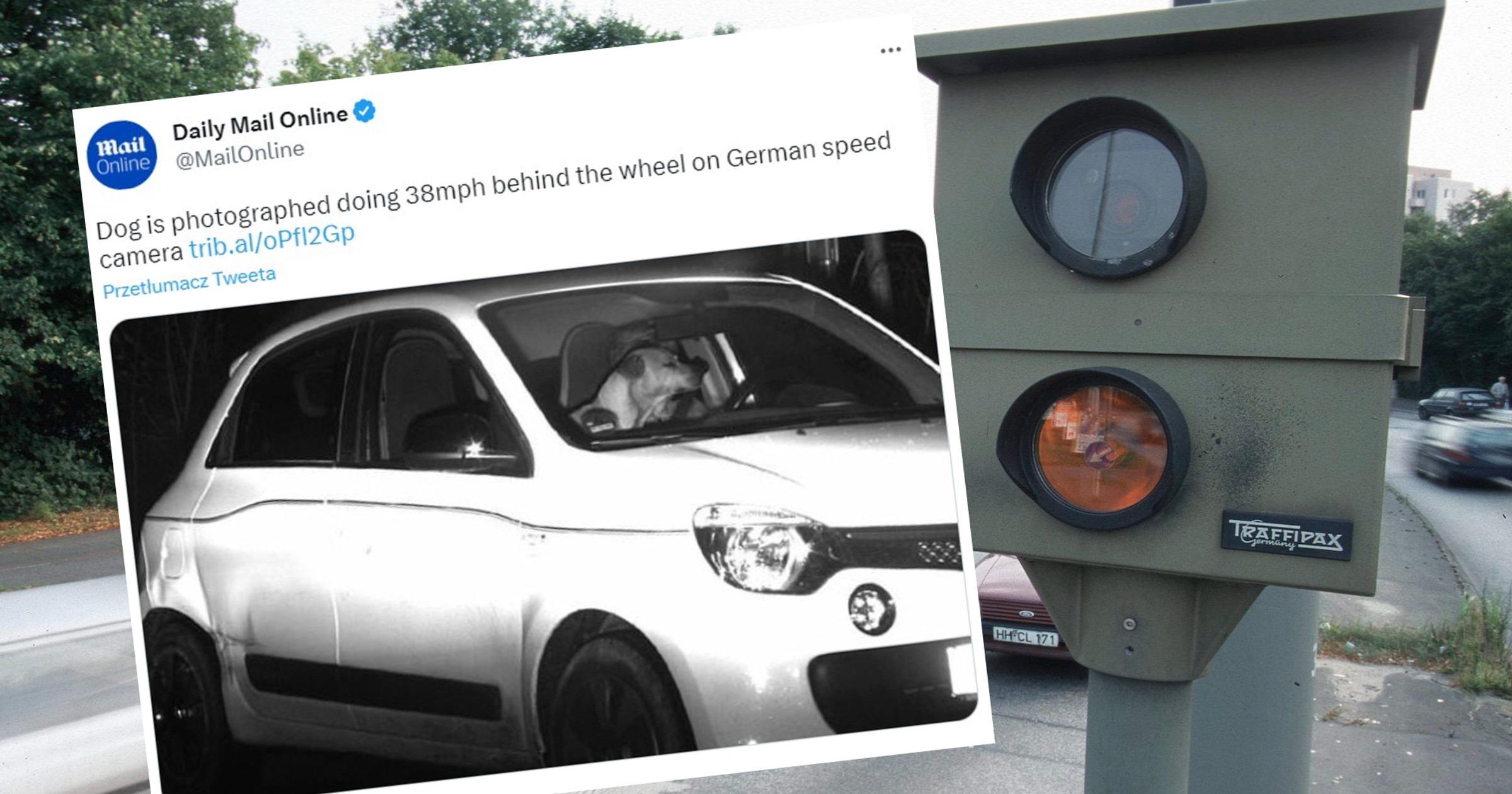 Na zdjęciu z fotoradaru samochód prowadzony jest przez psa