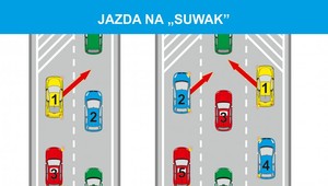 Jazda na suwak – czy miesiąc po wejściu przepisów stosujemy się do nowych zasad?