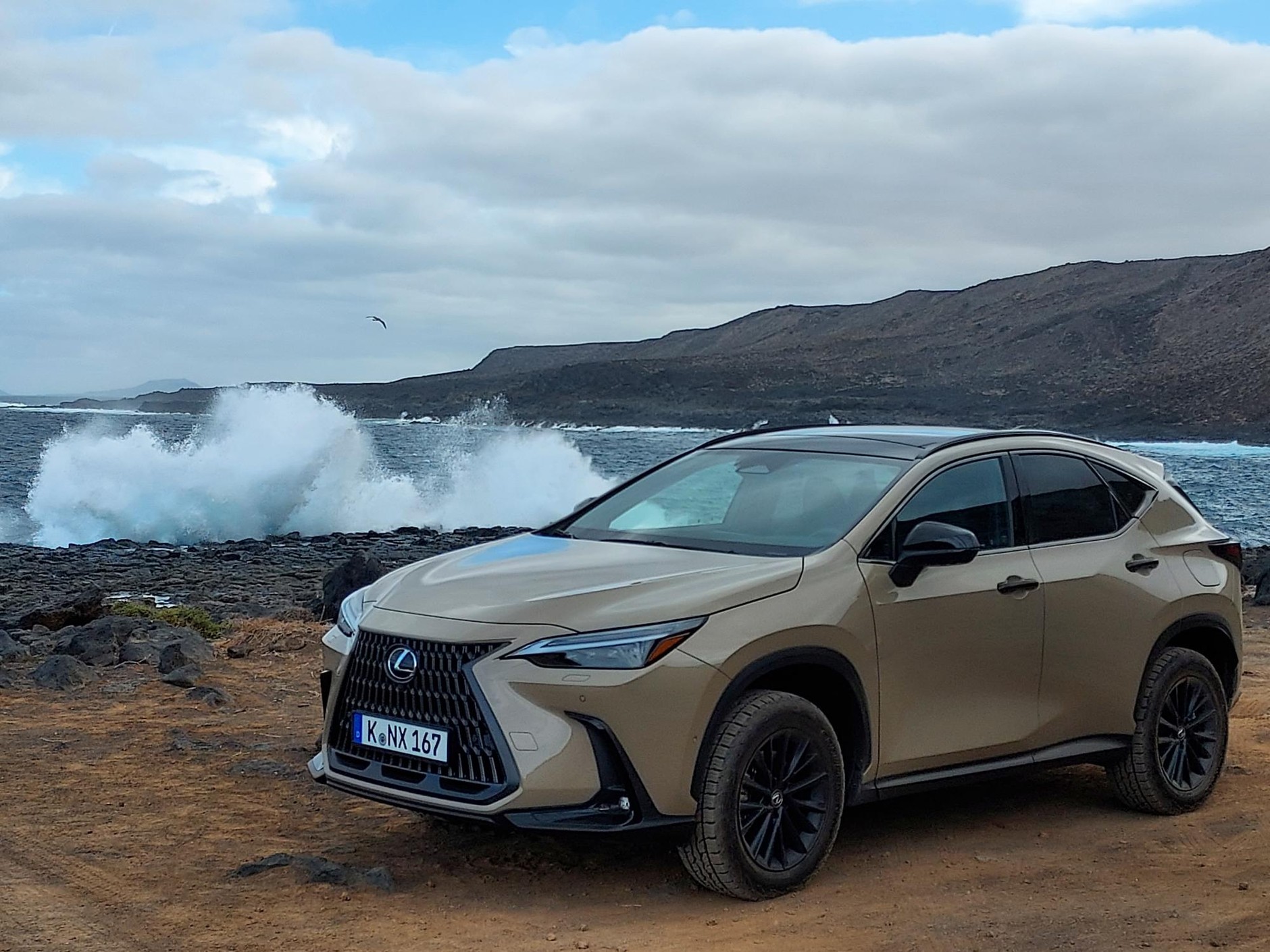 Lexus NX Overtrail