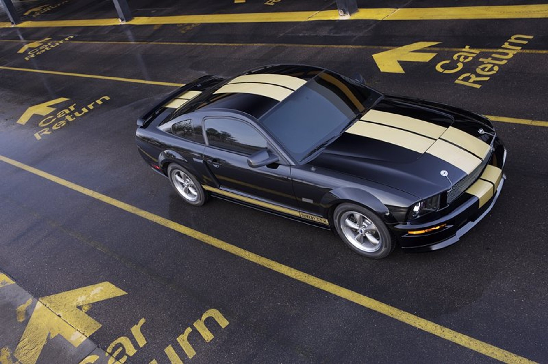 Ford Shelby GT350-H: z wypożyczalni na półki sklepowe