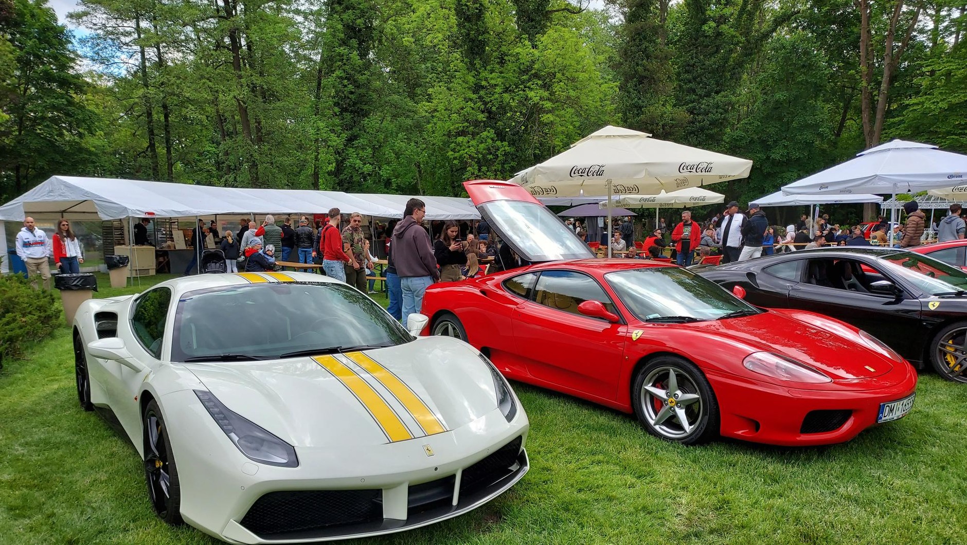 Forza Italia 2025