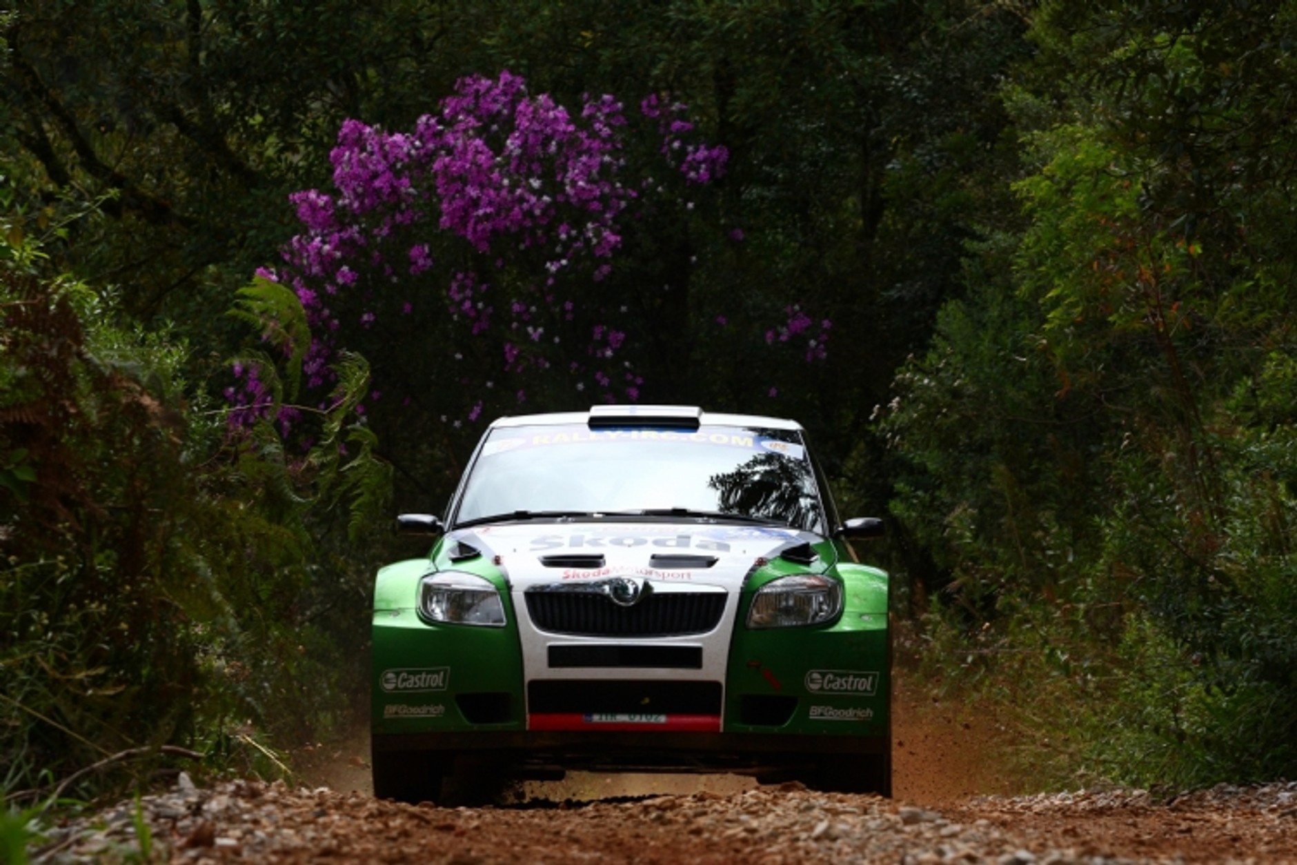 Rally de Curitiba 2010: pewne zwycięstwo Krisa Meeke, Juho Hänninen liderem IRC