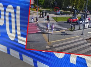 Bydgoscy policjanci prowadzili akcję "Bezpieczny pieszy". Nie obyło się bez mandatów