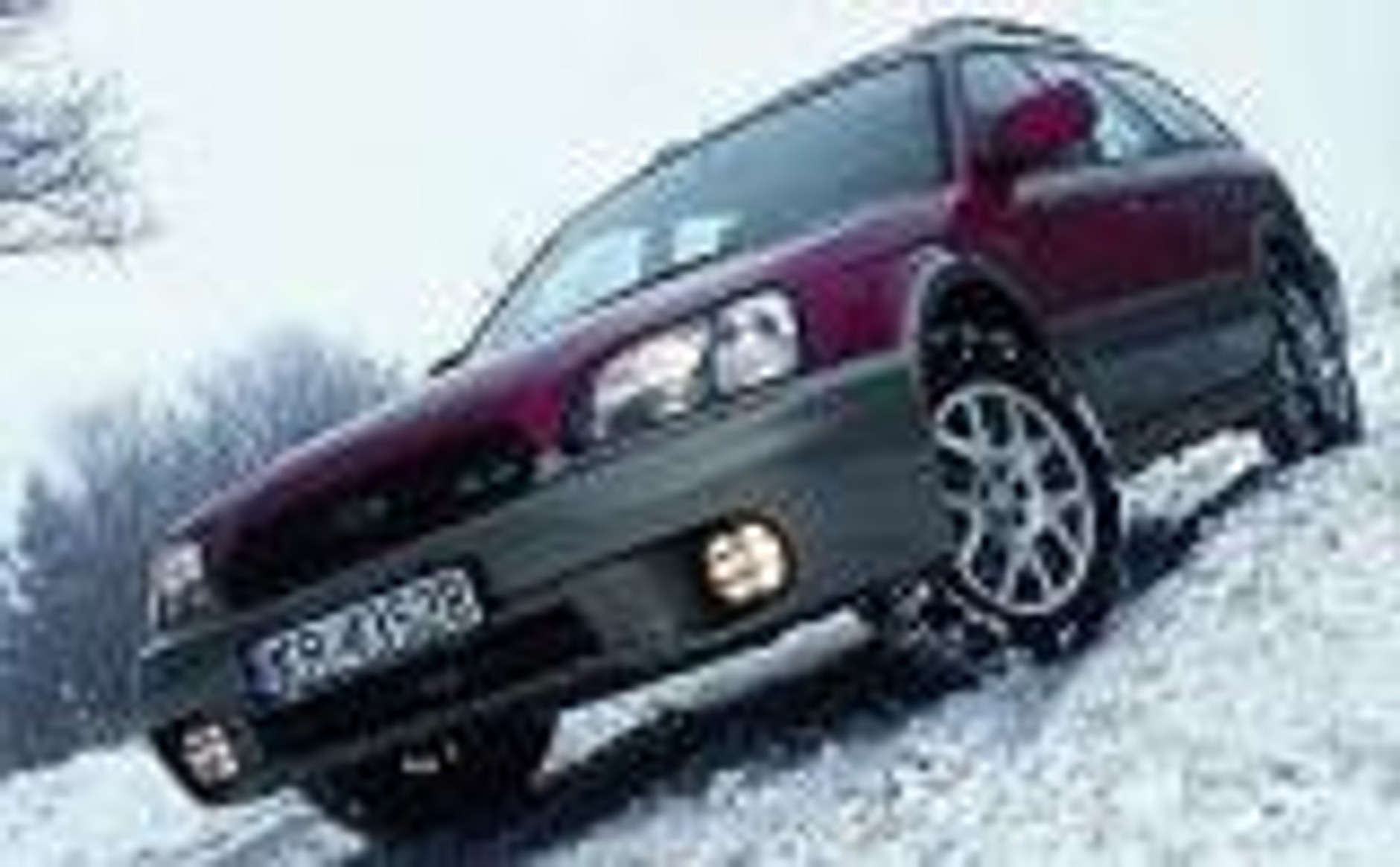 Bokser na prawie każdą okazję