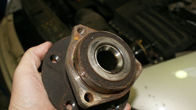 Zamiennik czy oryginał?