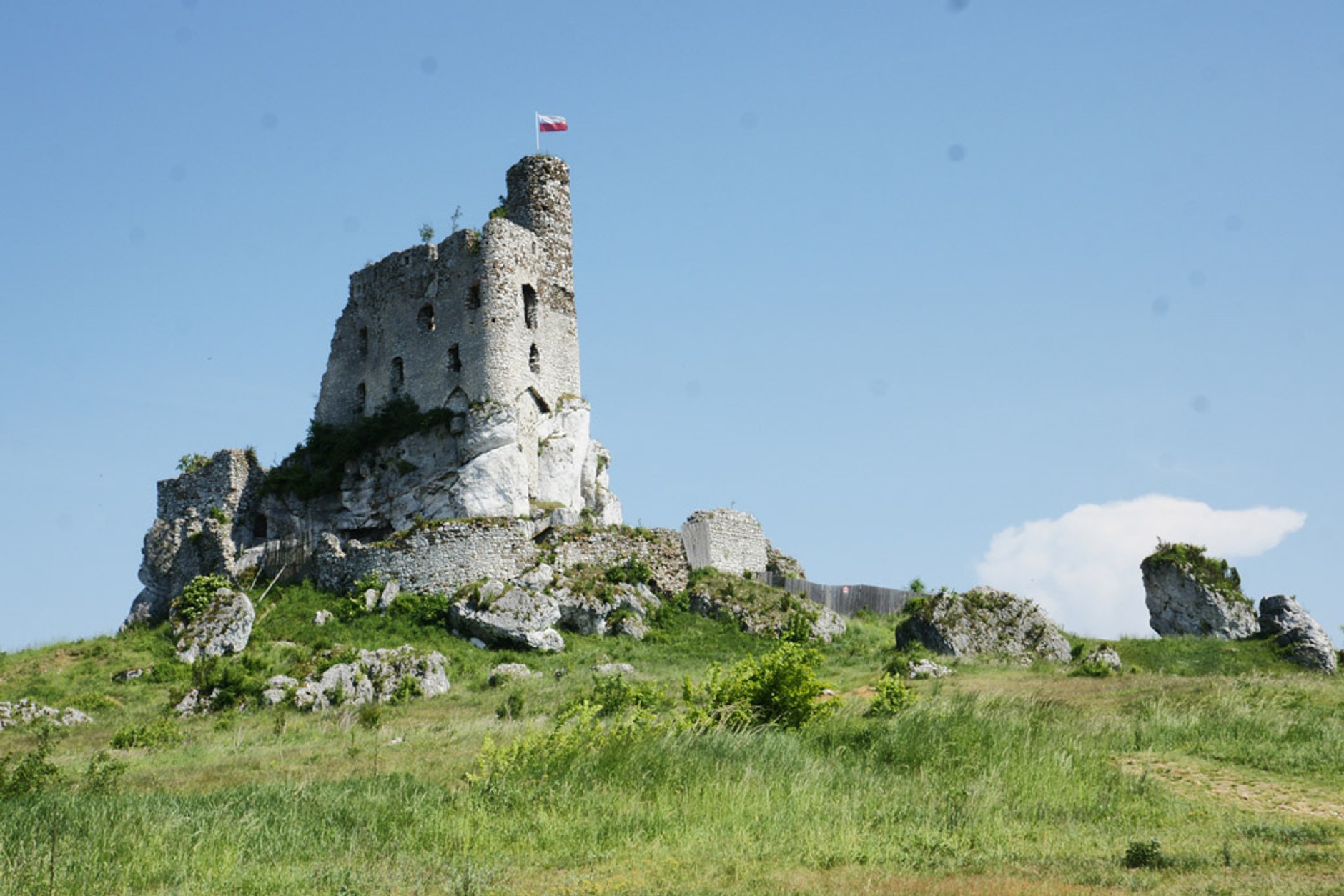 Rodzinne podróże z Fordem: Grand C-Max zawiózł nas do Mirowa