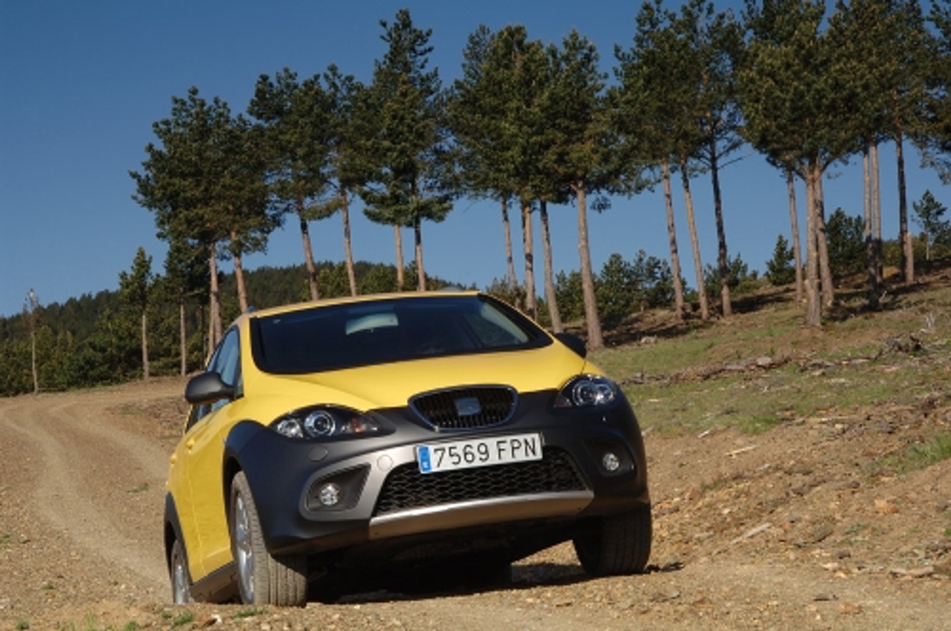 Seat na każdą drogę