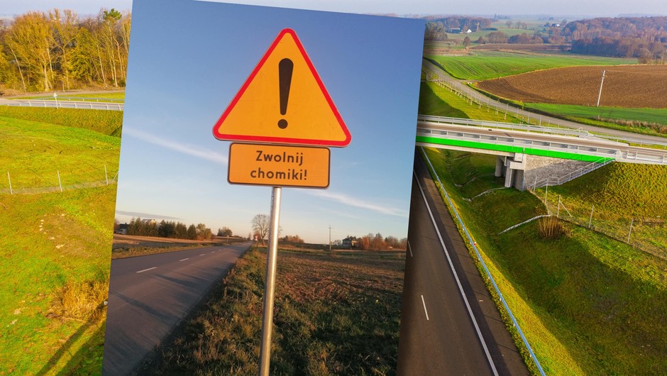 Nowy znak pojawił się na drogach. To wyjątkowe oznaczenie dla bezpieczeństwa natury