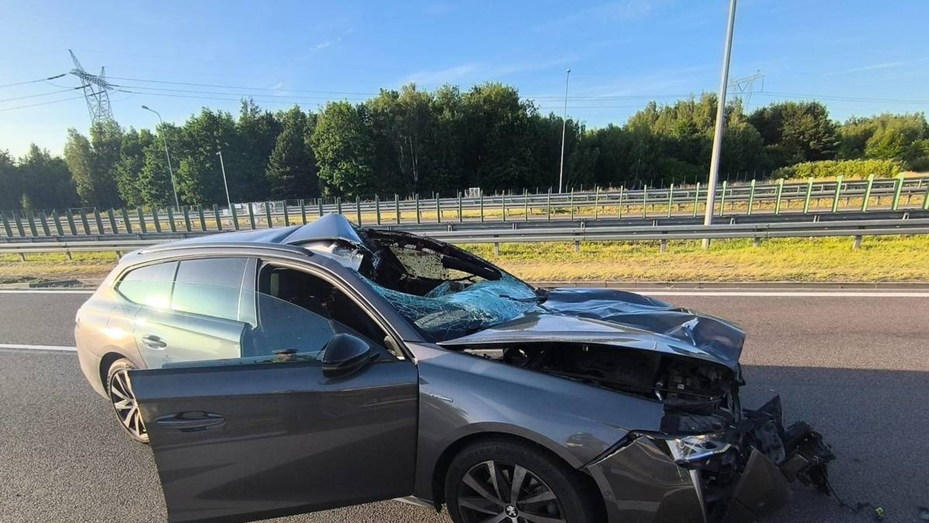Osobowy peugeot po zderzeniu z łosiem
