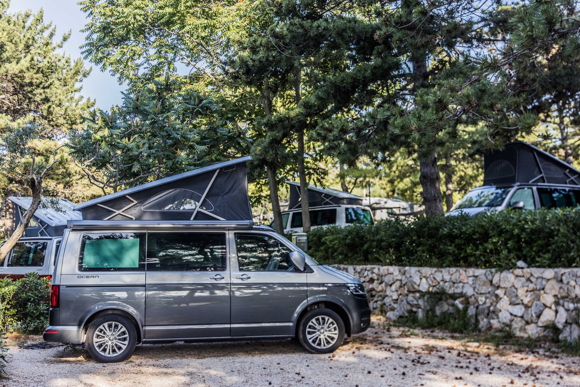 VW California & Grand California