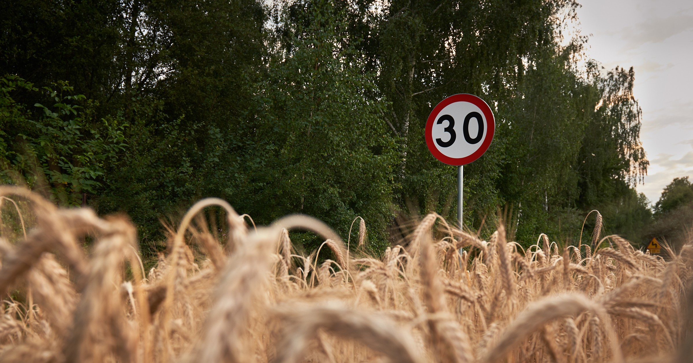 Ograniczenie prędkości do 30 km/h
