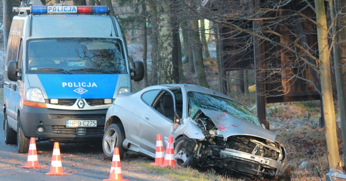 Wypadki z udziałem dzikich zwierząt - Zwierzę na drodze? Nie warto omijać!