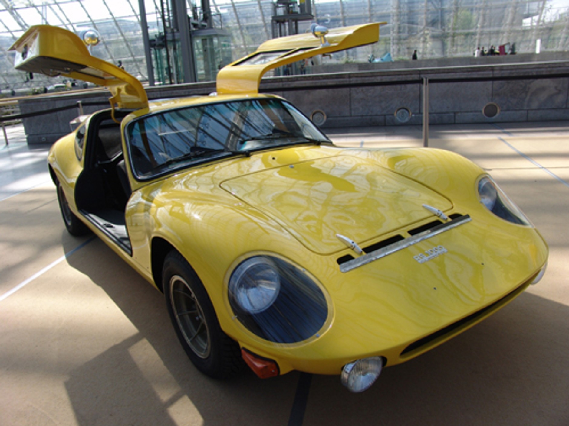 Leopard wśród gwiazd AMI