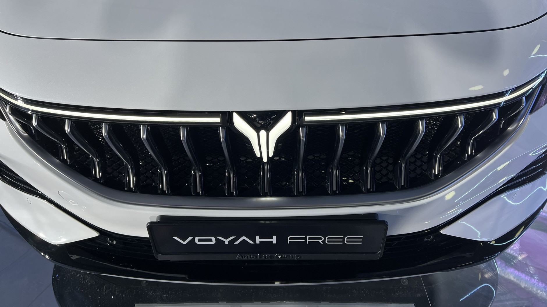 Voyah Free