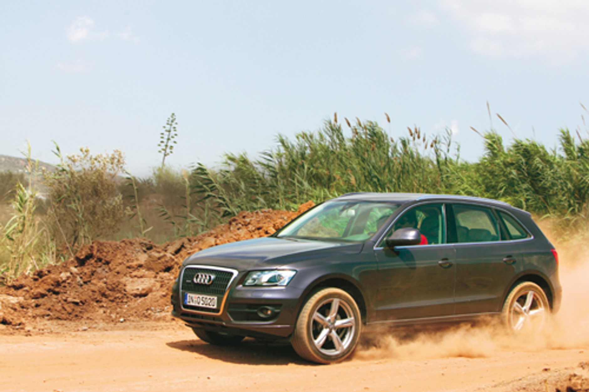 Audi Q5 - Kurz się podniesie