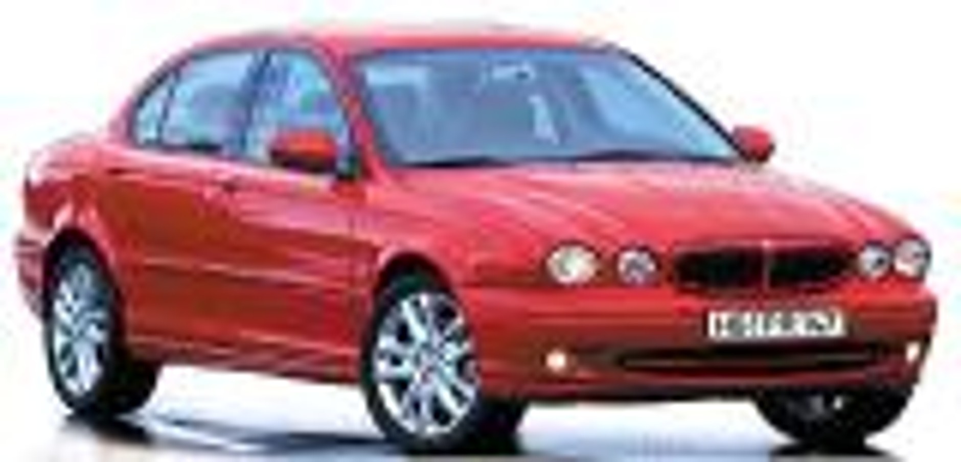 Nowy teren łowiecki kota