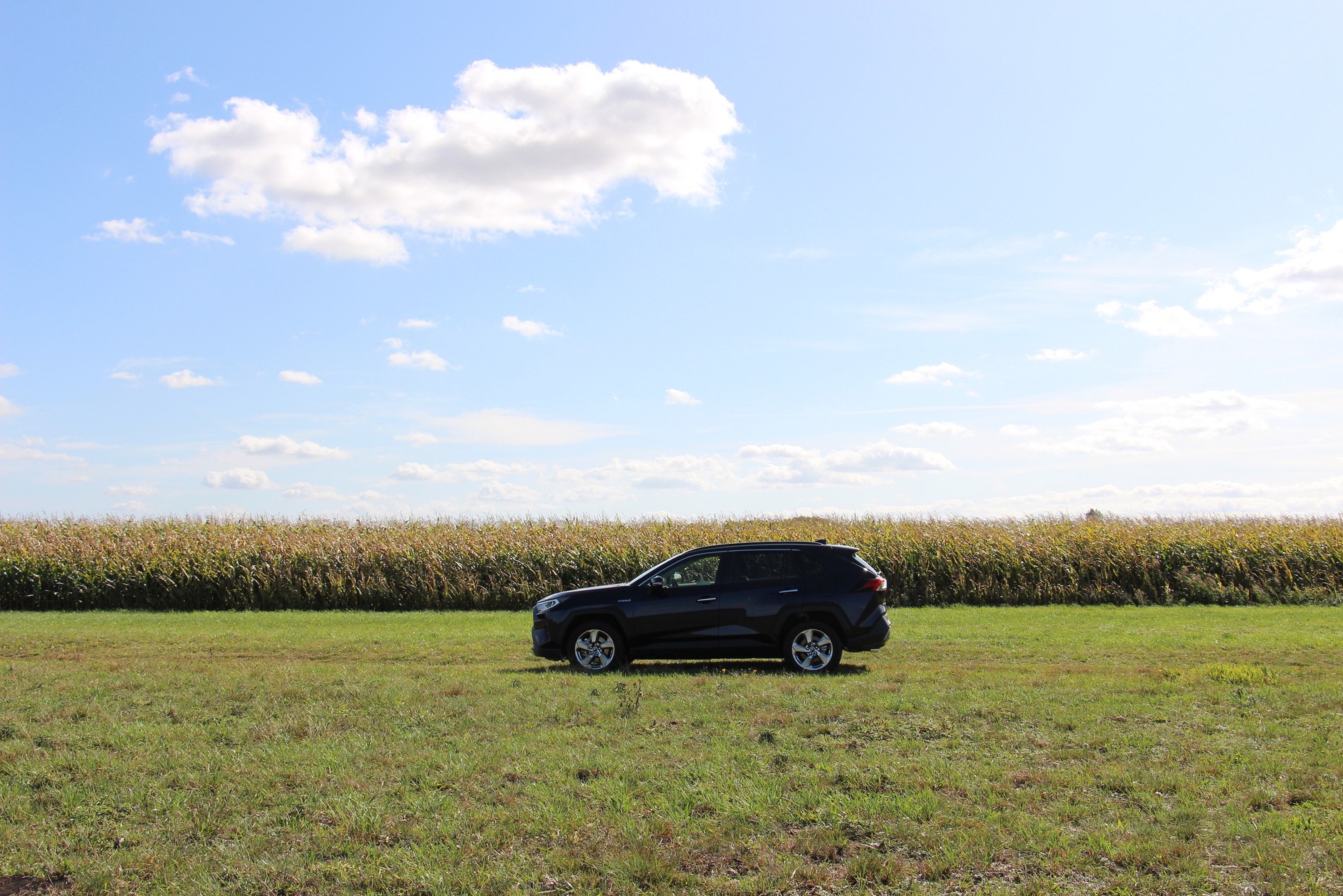 Toyota RAV4 Hybrid AWD Executive