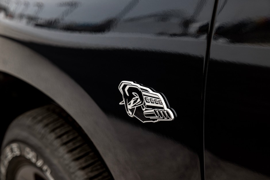 "Symbol of Protest Badge" na błotniku RAM-a