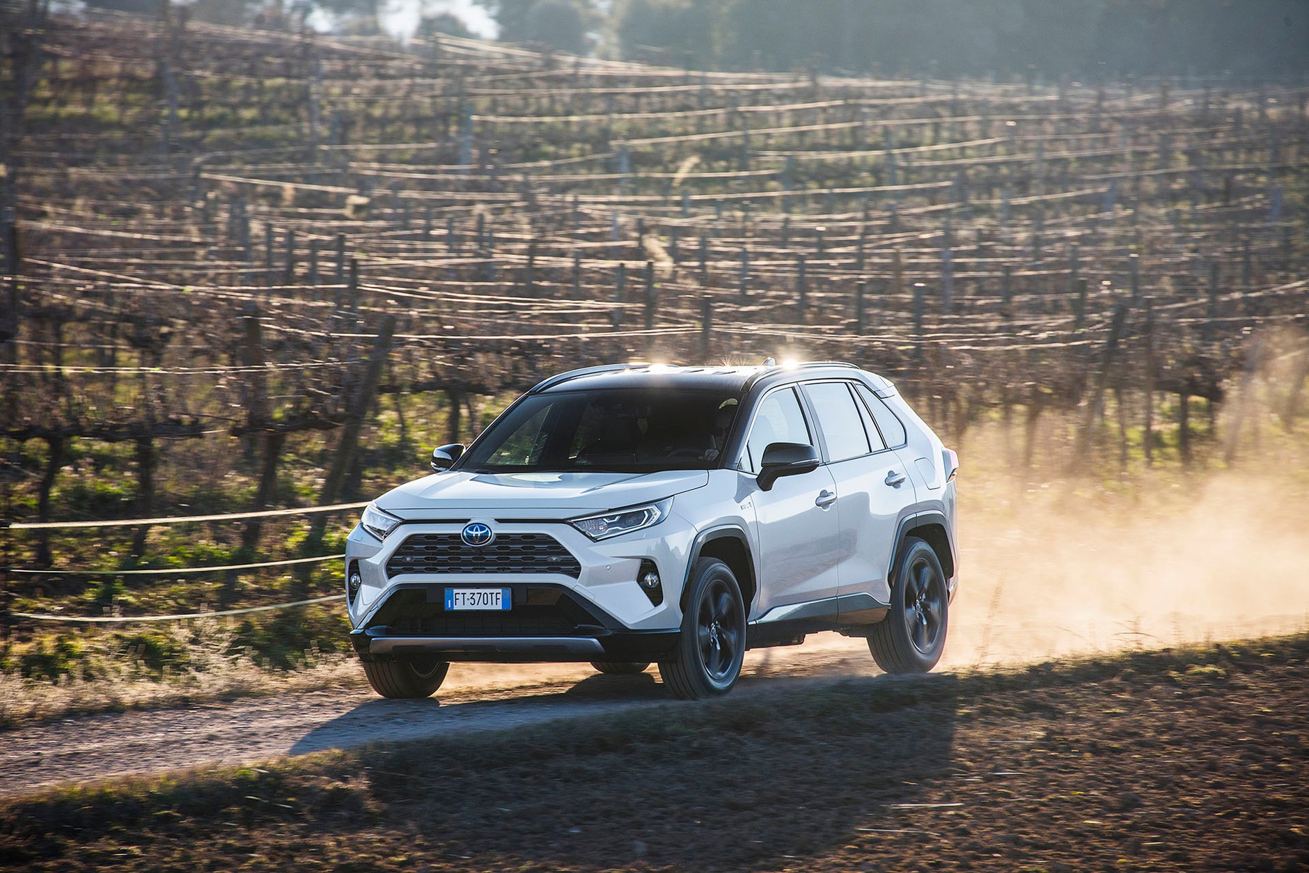 Toyota RAV4 - 134 869 egz.