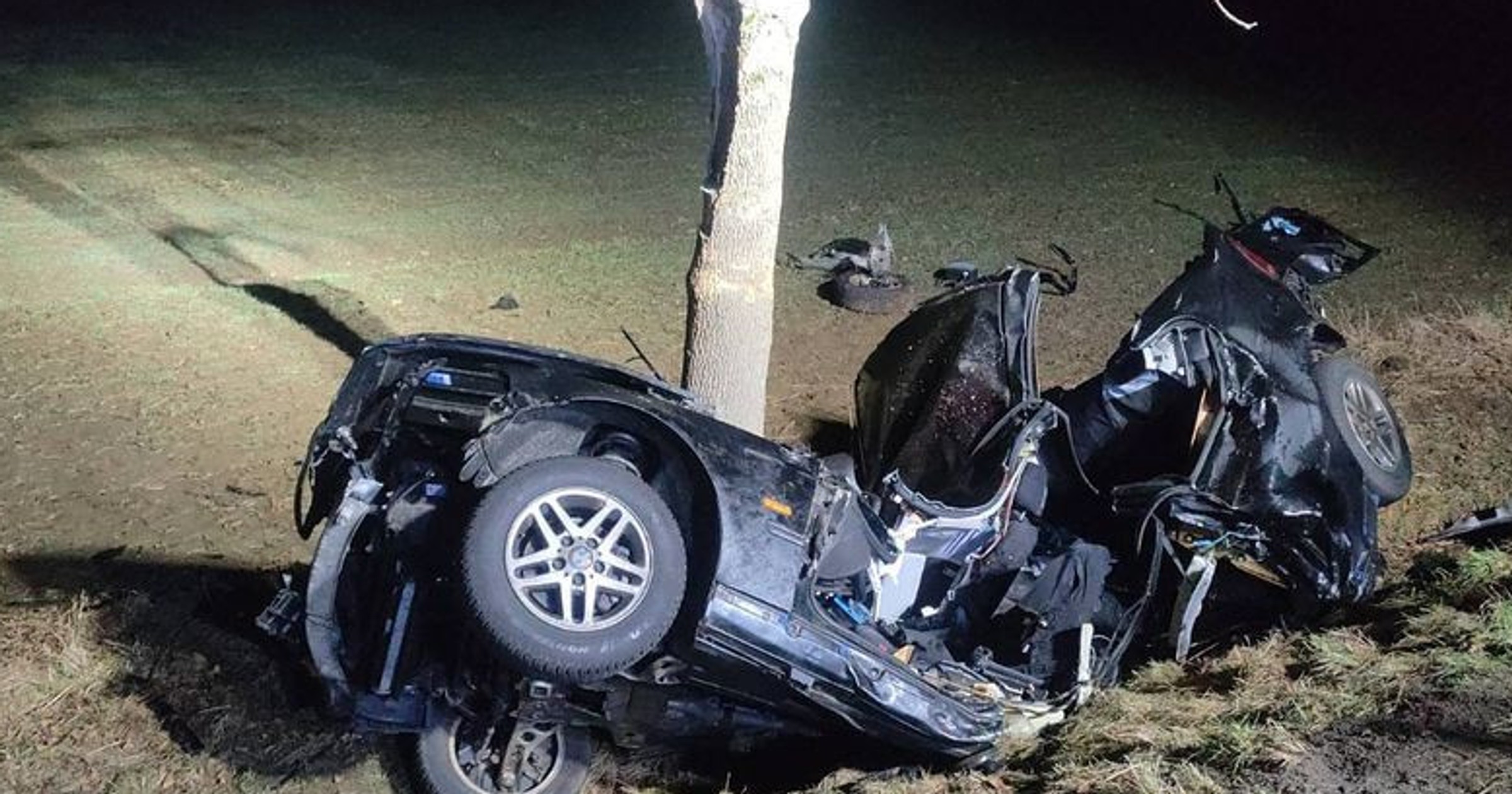 BMW wjechało w drzewo