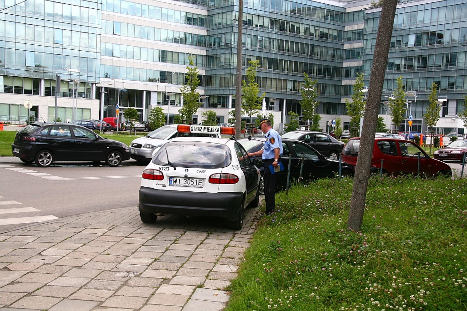 Straż miejska - Święte krowy (Wideo)