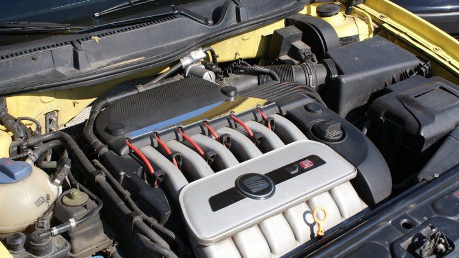 VI. Ogólnopolski Zlot LeonClub Team: bezpiecznie i z gracją (fotogaleria)