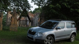 Skodą Yeti tropimy żubry