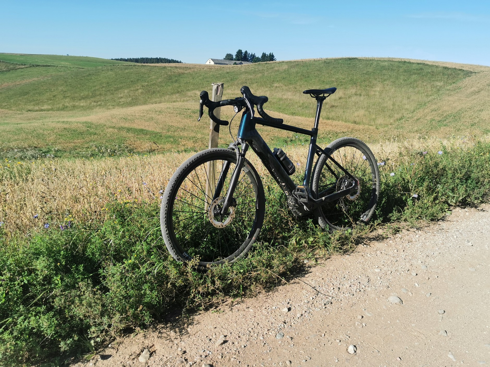 Canyon Grizl:ON CF 7