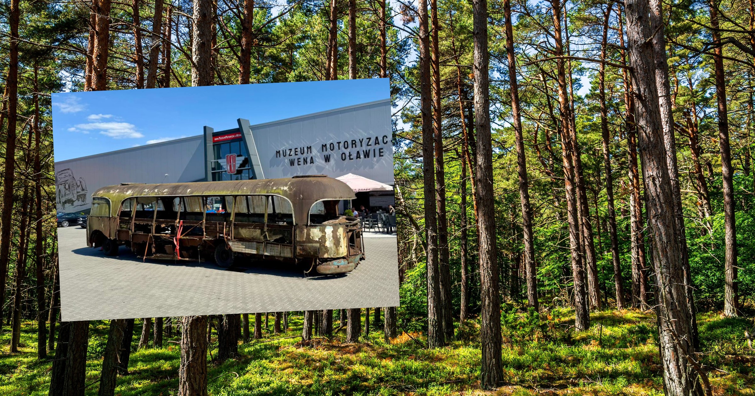 Polski autobus Bałtyk odnaleziony w lesie