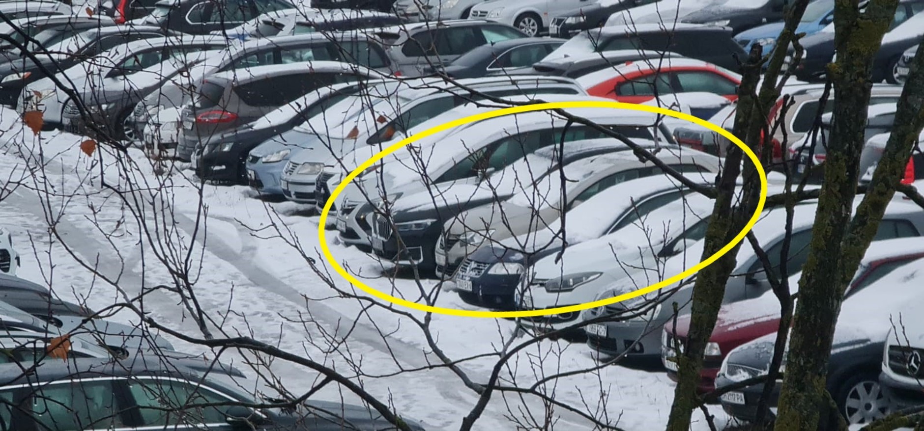 BMW serii 7 czekało na Litwie na kolejny etap przerzutu