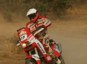 Dakar 2007: Doskonały wynik Czachora