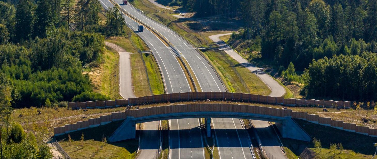 Przejście dla zwierząt nad S61
