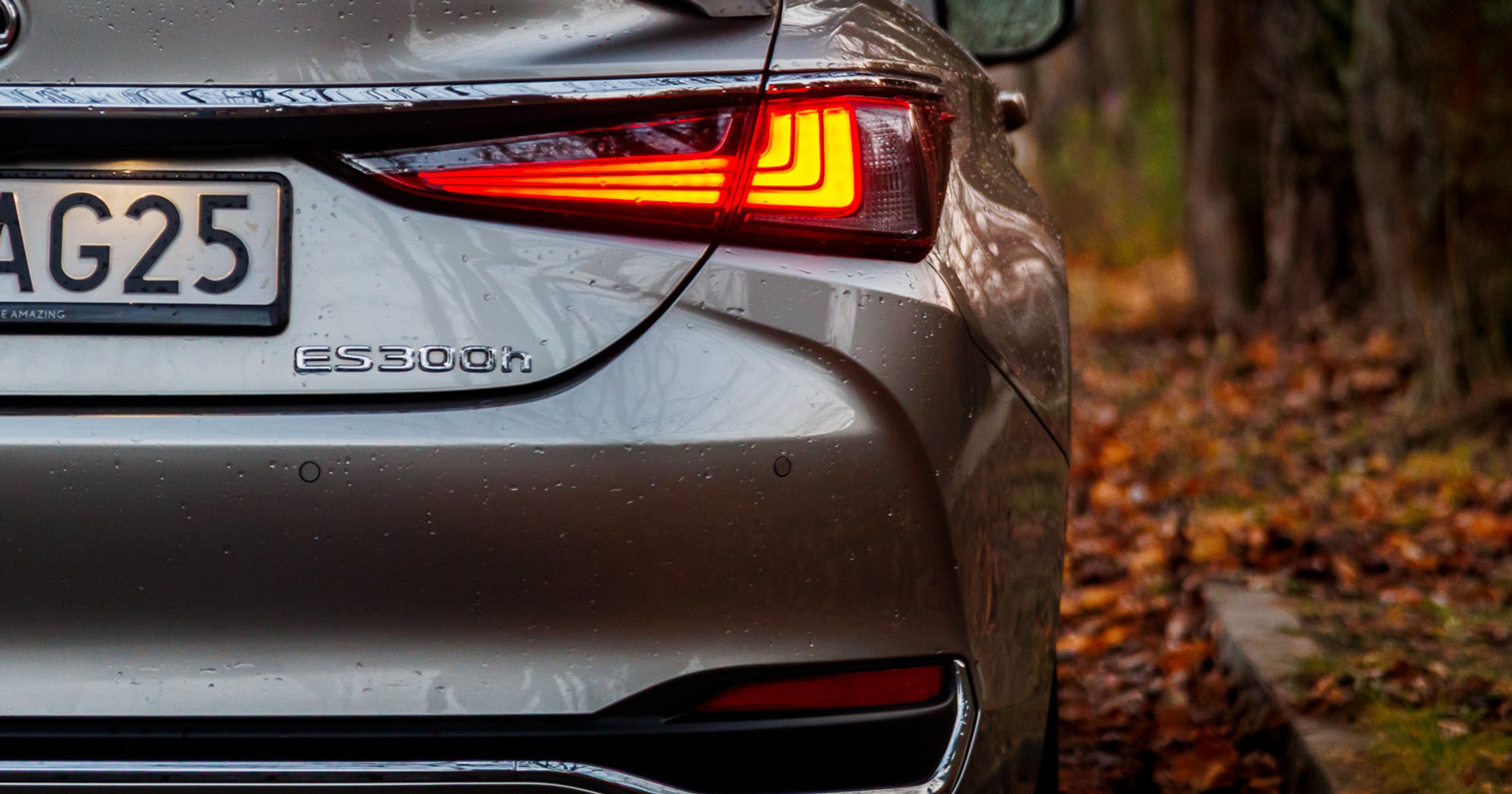 2024 Lexus ES300h