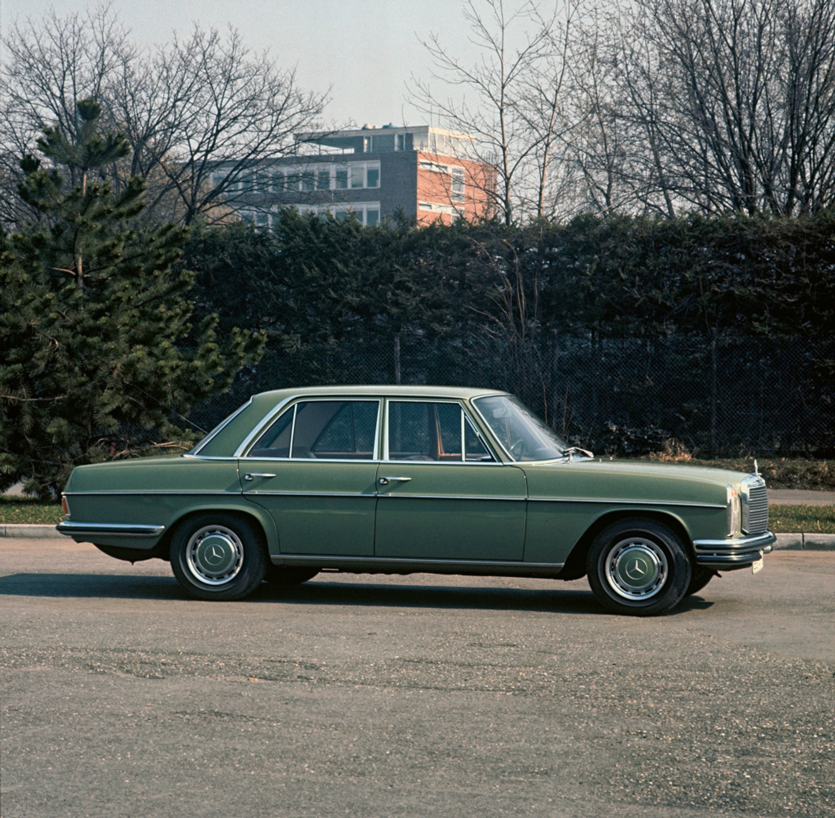 50 lat Mercedesów W 114/115