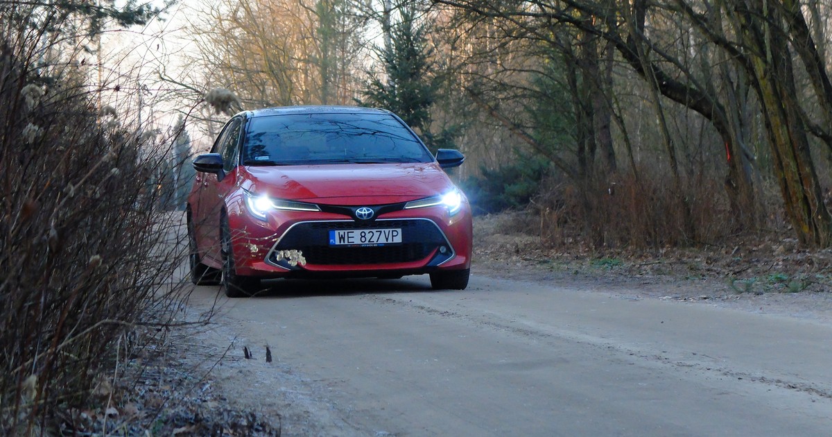 Toyota Corolla 2.0 Hybrid Dynamic Force